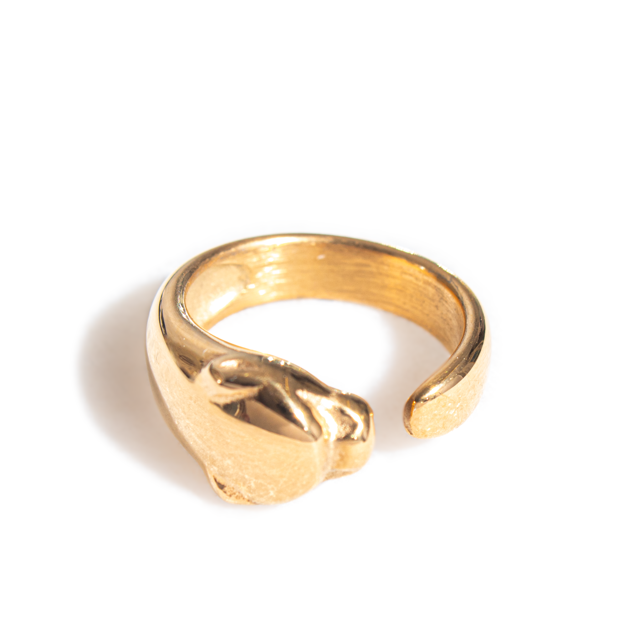 Puma Ring